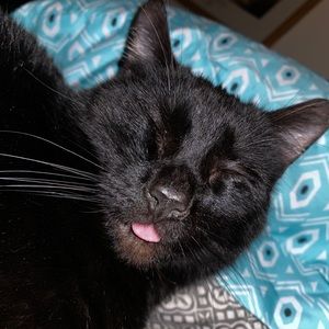 Meet your Posher, Jasmine